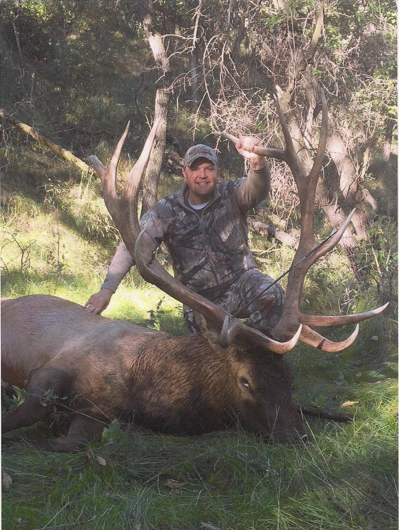 2014 elk season Image