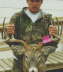 db_DEER02.jpg Image