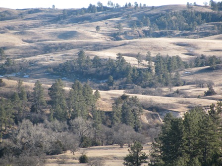 land2.jpg Image