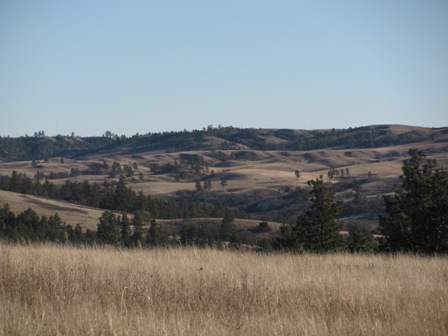 landscape.jpg Image