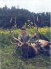 2014 elk season Image