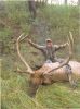 2014 elk season Image