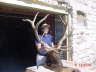db_2004_elk_3.jpg Image