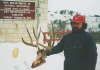 db_DEER01.jpg Image