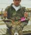db_DEER02.jpg Image