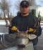 db_Deer_collin_2000_web.jpg Image
