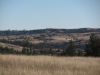 landscape.jpg Image